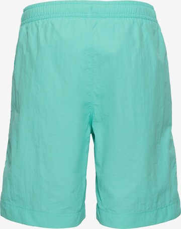 Champion Authentic Athletic Apparel Board Shorts in Green