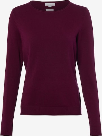 Pull-over Brookshire en violet : devant