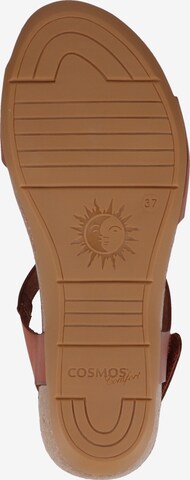 COSMOS COMFORT Sandalen met riem in Bruin