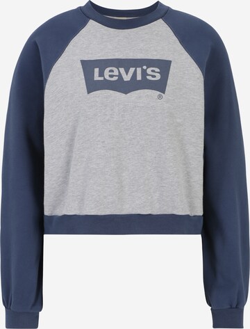 Bluză de molton 'Vintage Raglan Crewneck Sweatshirt' de la LEVI'S ® pe gri: față