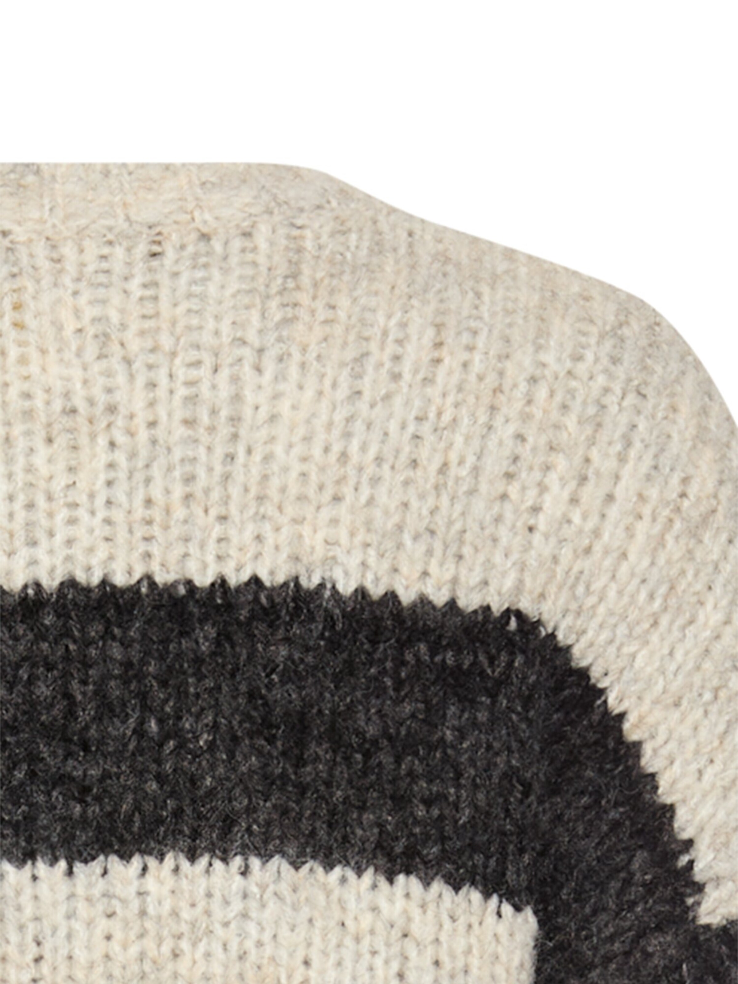 CAMEL ACTIVE Pullover in Schwarz