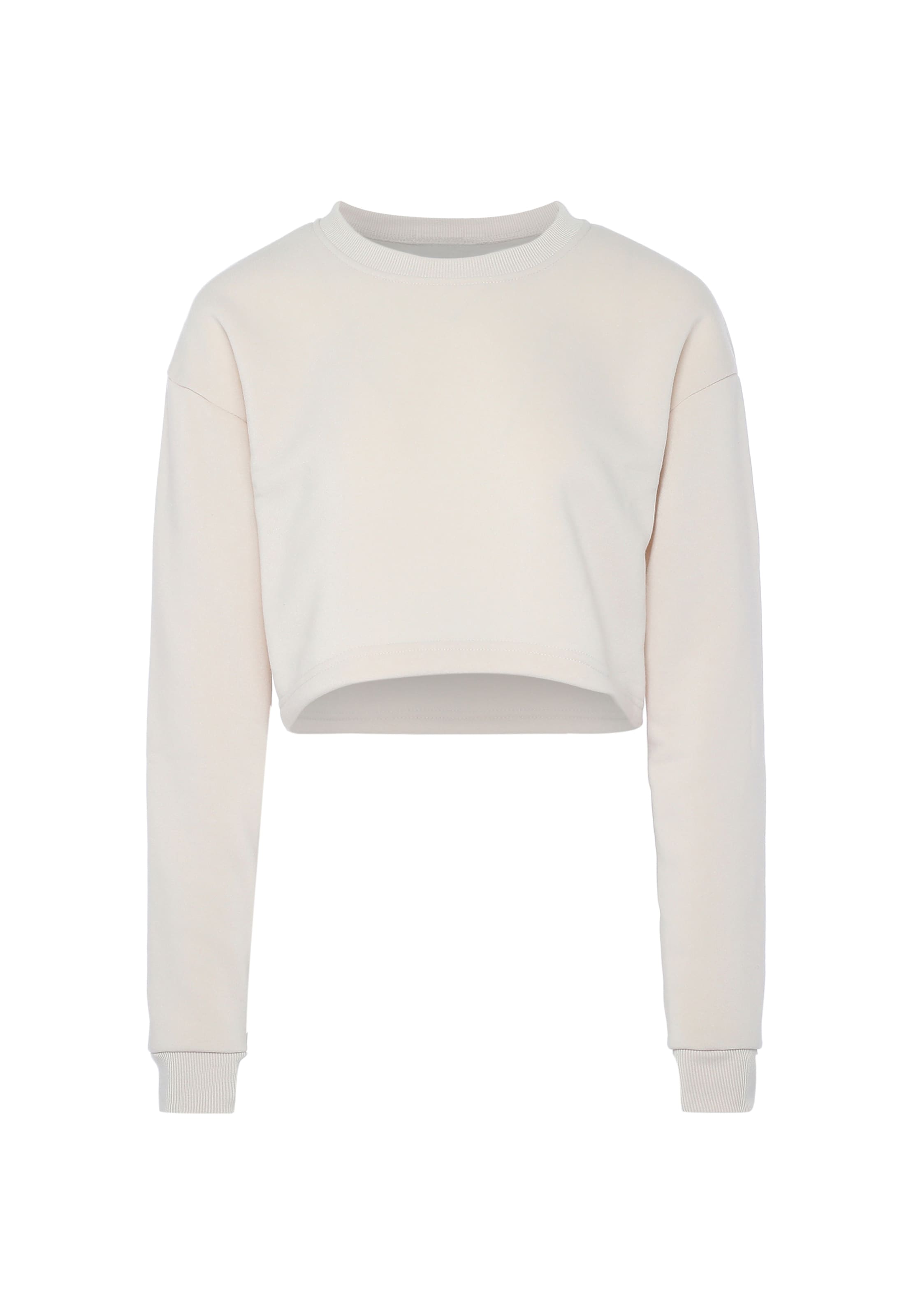 Sidona Sweatshirt in Beige: front