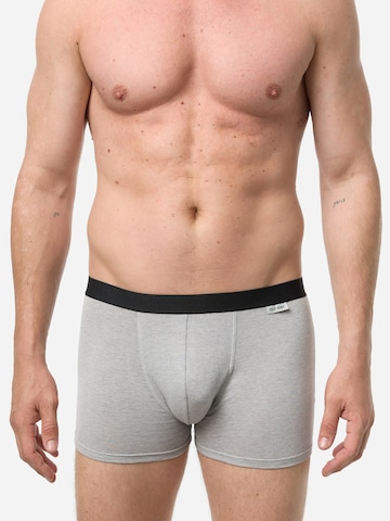 Boxers ' Cotton Stretch ' Nur Der en bleu