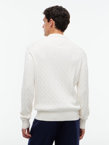 TOMMY HILFIGER Sweater in Beige