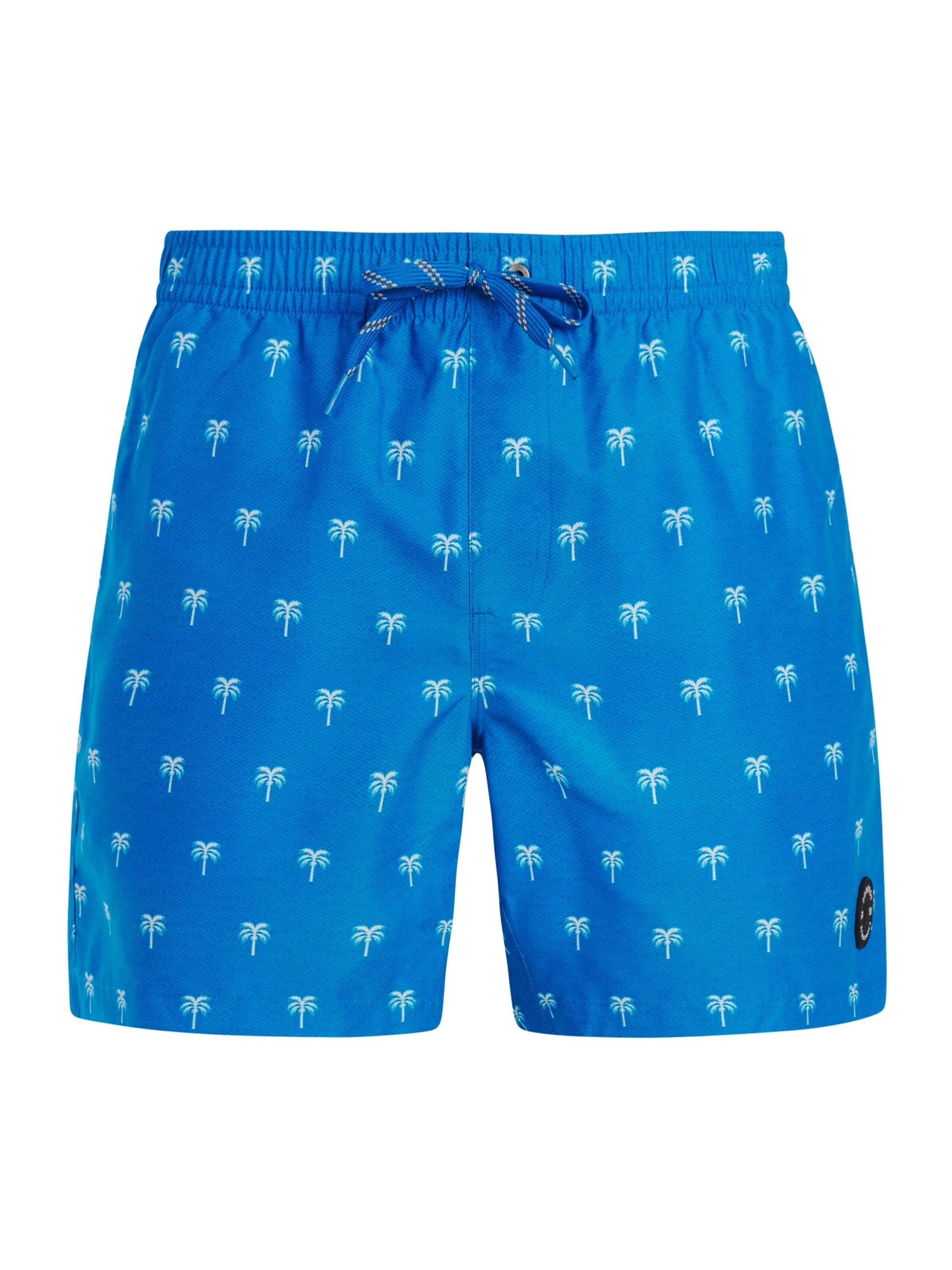 PROTEST Badeshorts 'PRTMascot'‌‌‌‌‌‌‌‌‌‌ in Blau: Vorderseite