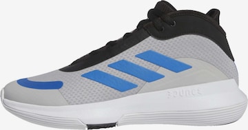 ADIDAS PERFORMANCE Sportschuh 'Legends' in Grau: predná strana