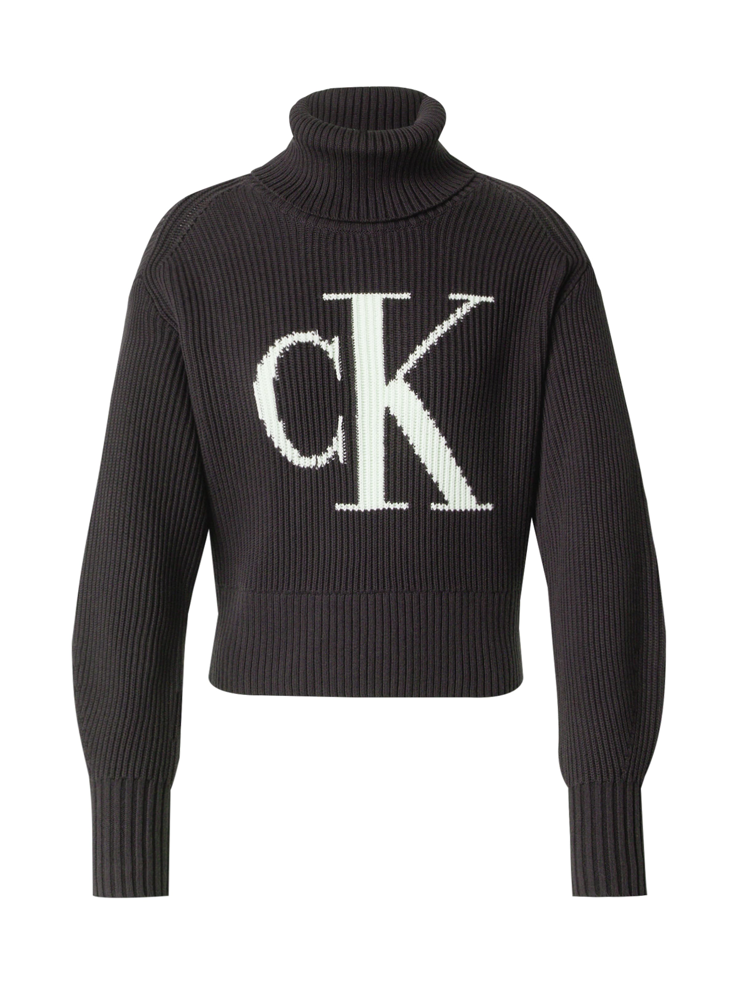 Calvin Klein Jeans Sweater in Black: front