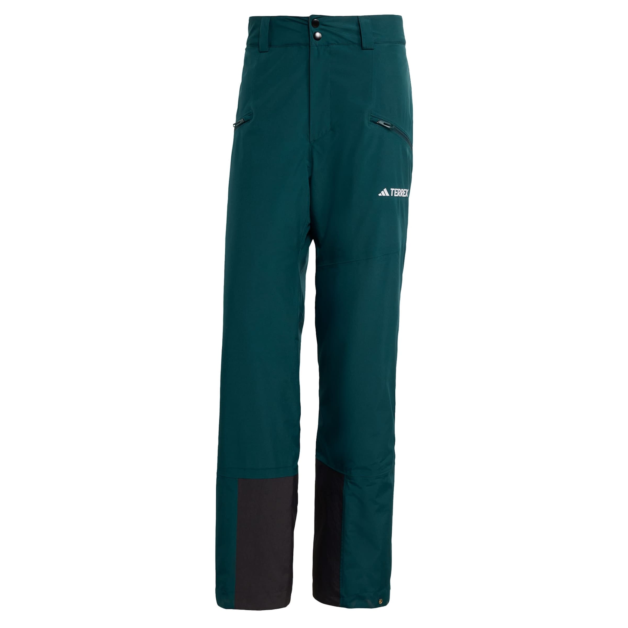 ADIDAS TERREX - regular Pantalón de montaña en verde: frente
