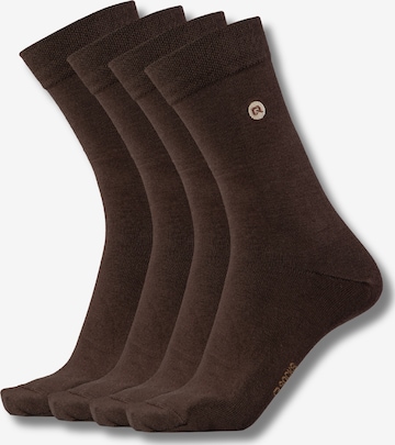QOLONIA Socken in Braun: Vorderseite