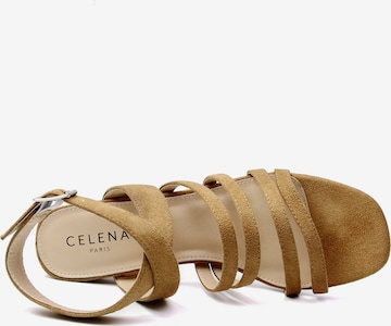 Celena Sandalen met riem 'Cecily' in Bruin