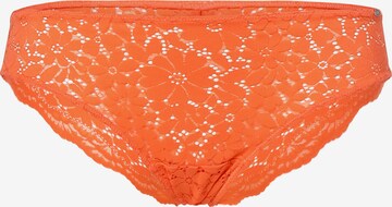 Skiny Panty in Orange: front