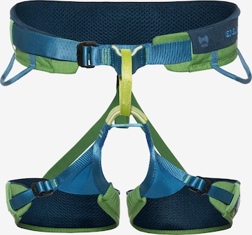 Edelrid Climbing Protection 'Jay III' in Green: front