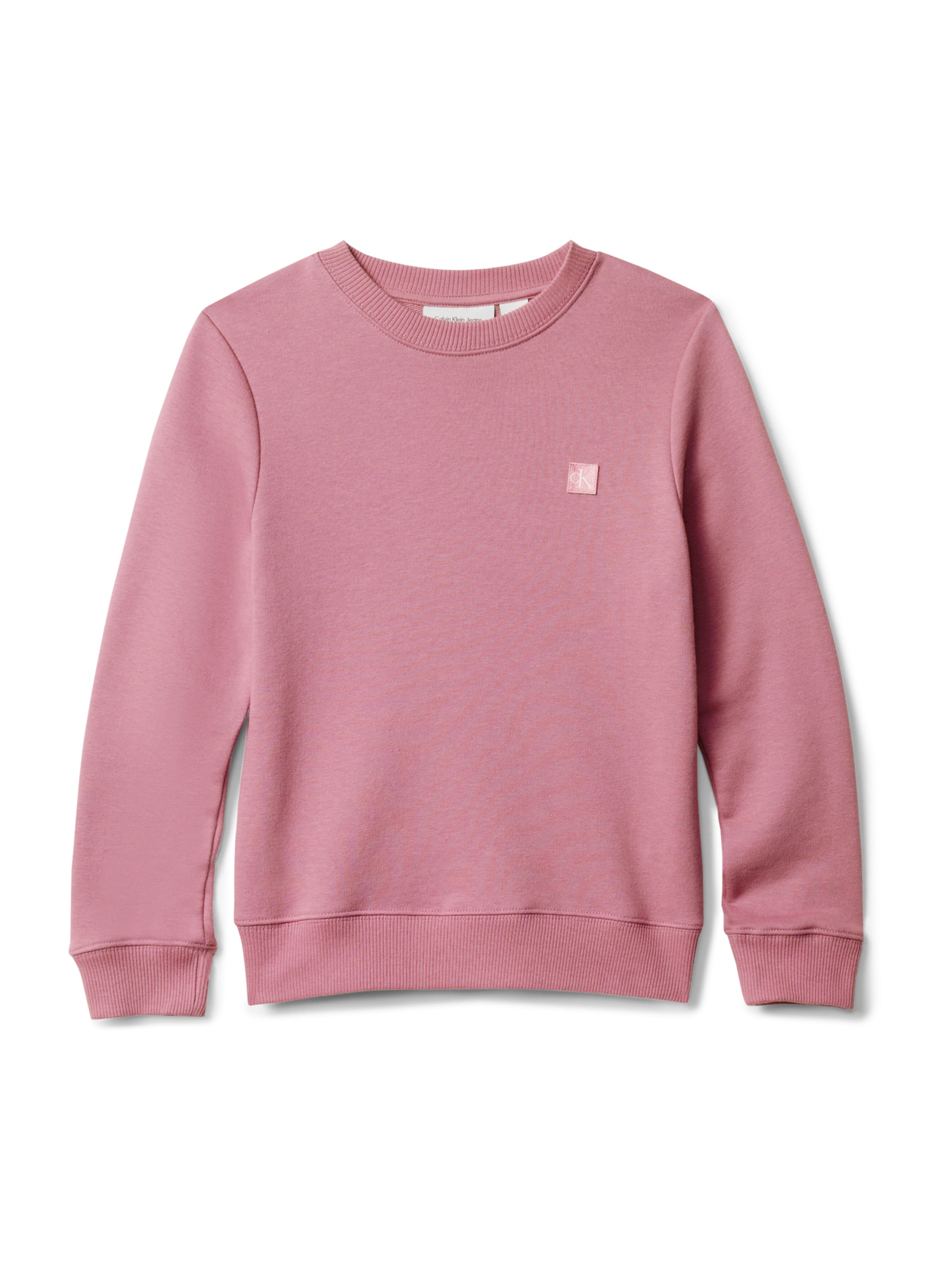 Sweat Calvin Klein Jeans en violet : devant