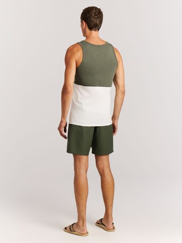 PROTEST Shirt 'PRTIspa' in Green