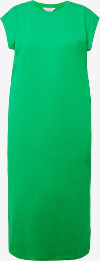 Studio Untold Kleid in grün, Produktansicht