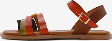 Derimod Sandaal in Gemengde kleuren: voorkant