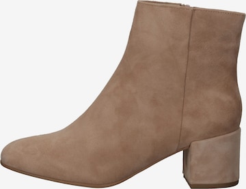 Högl Ankle Boots in Brown