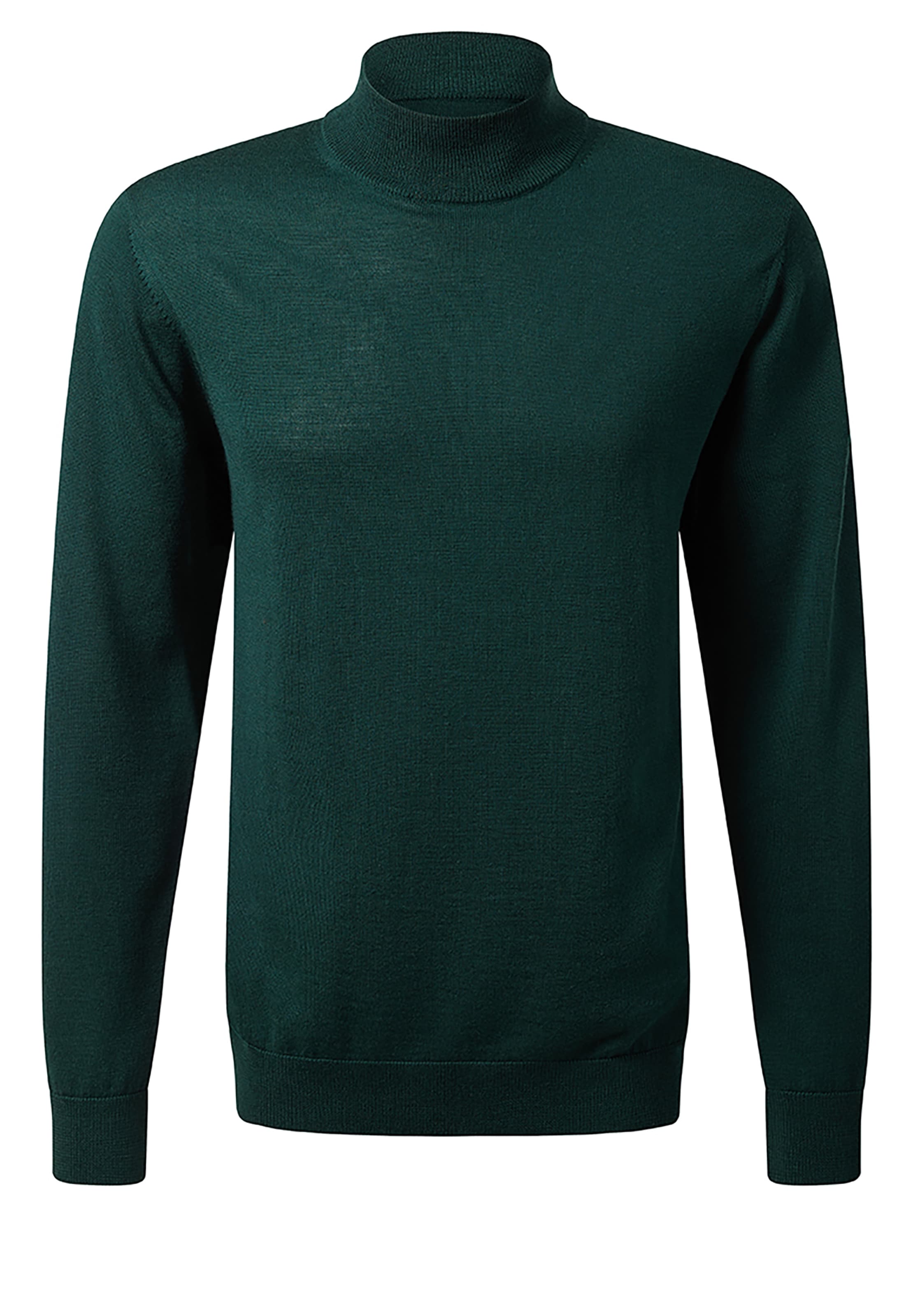 Baldessarini Pullover 'Romo-01' in Grün: Vorderseite