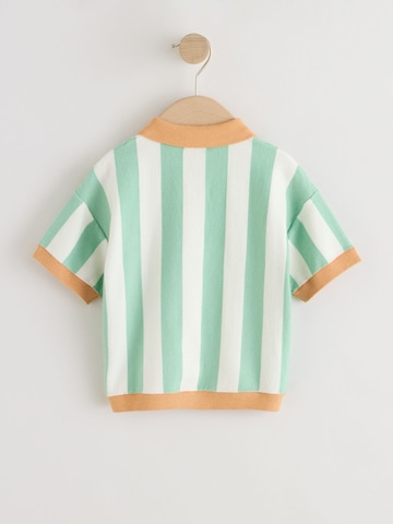 Next Sweater in Green