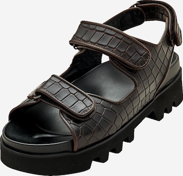 EDITED Sandal 'Taylah' in Brown: front