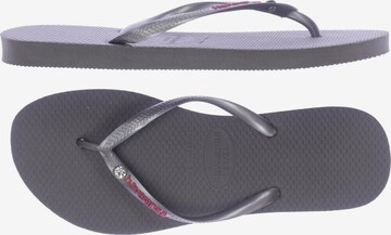 HAVAIANAS Sandalen 37 in Grau: predná strana