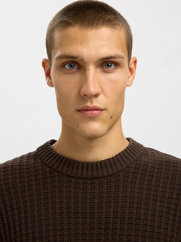 SELECTED Pullover 'SLHTOM' i brun