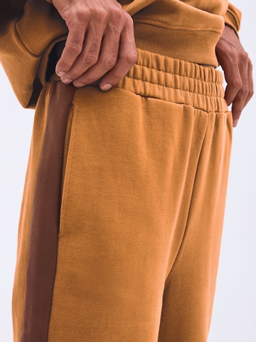 Smiles Regular Pants 'Yunus' in Brown