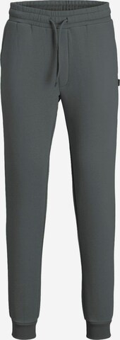 Pantalon JACK & JONES en gris : devant