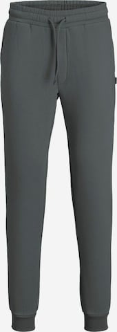 JACK & JONES Pants in Grey: front