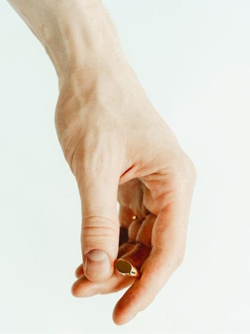 Les Reines Ring 'The Signet' in Gold: front