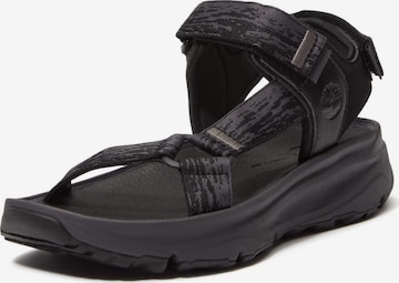 TIMBERLAND Riemensandale in Schwarz: Vorderseite