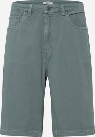 Iriedaily Shorts 'Nanolo' in pastellgrün, Produktansicht