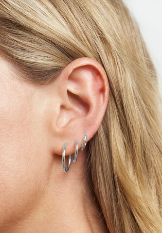 Stilnest Earrings in Silver: front