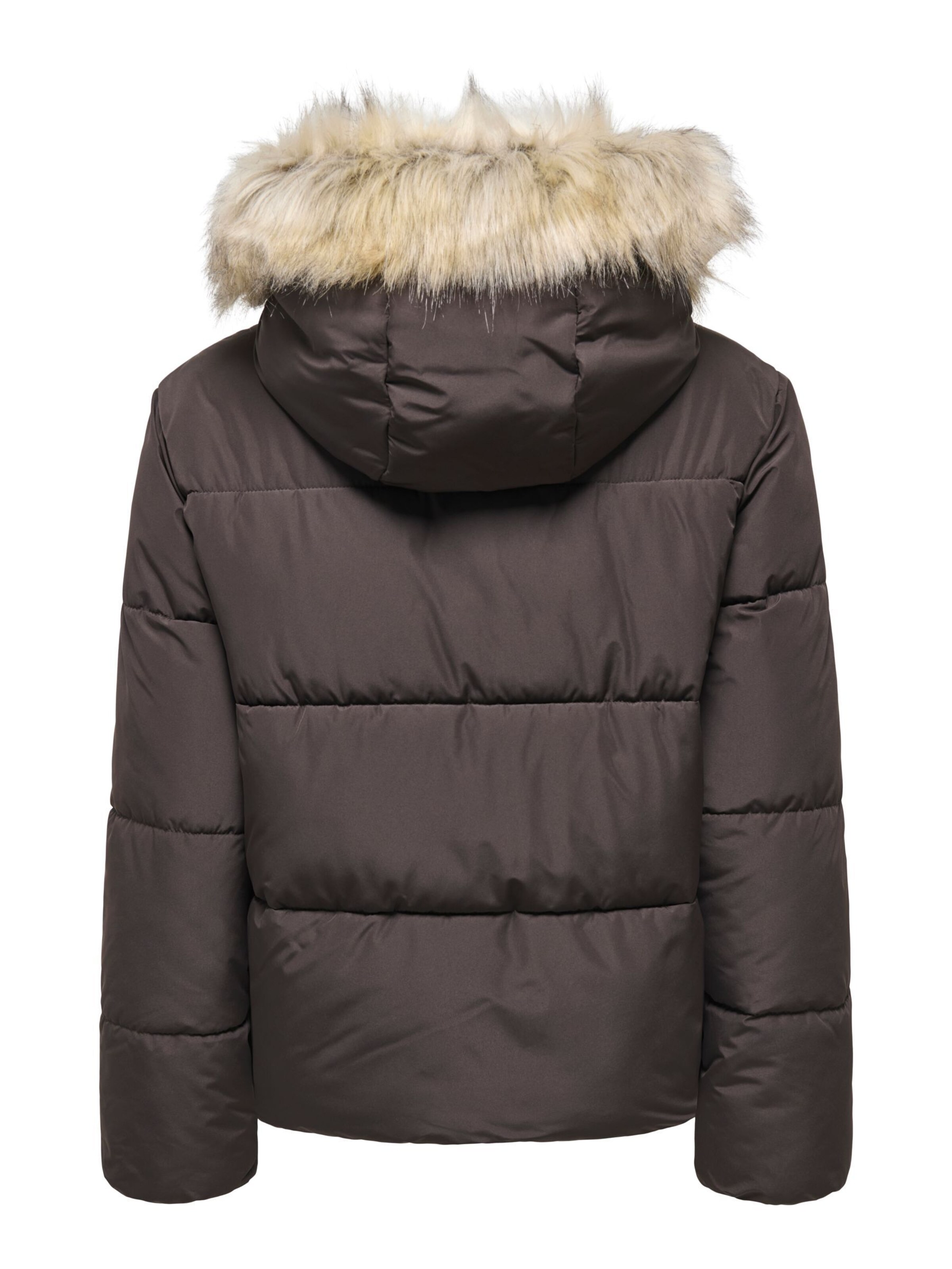 ONLY Winter jacket 'ONLJuta' in Brown