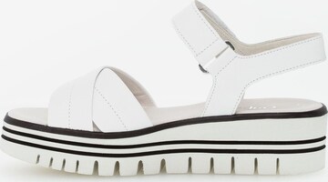 GABOR Strap Sandals in White