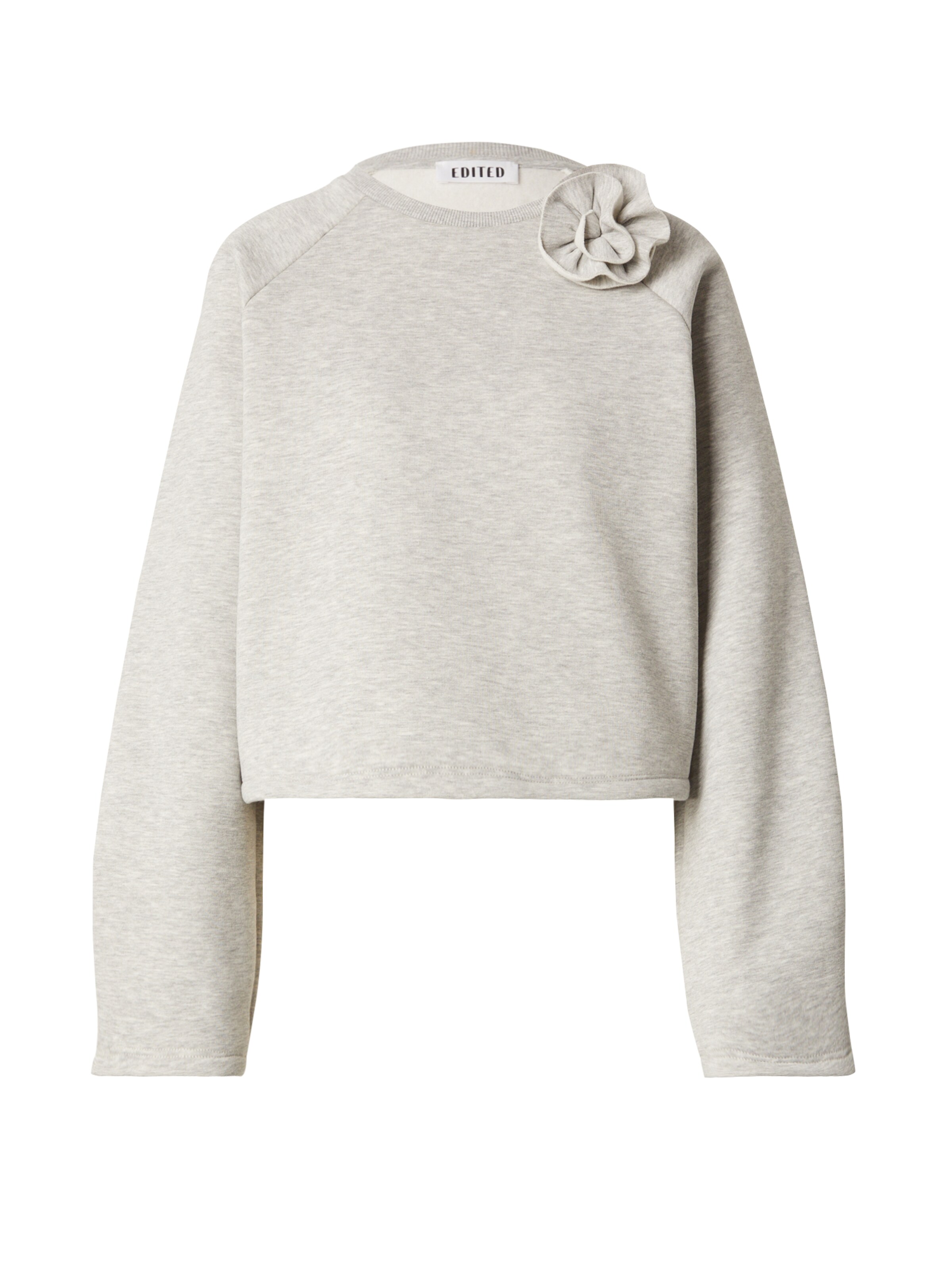 EDITED Sweatshirt 'Xezal' i grå: forside