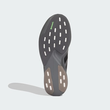 ADIDAS PERFORMANCE - Zapatillas de running 'Adizero Evo SL' en gris