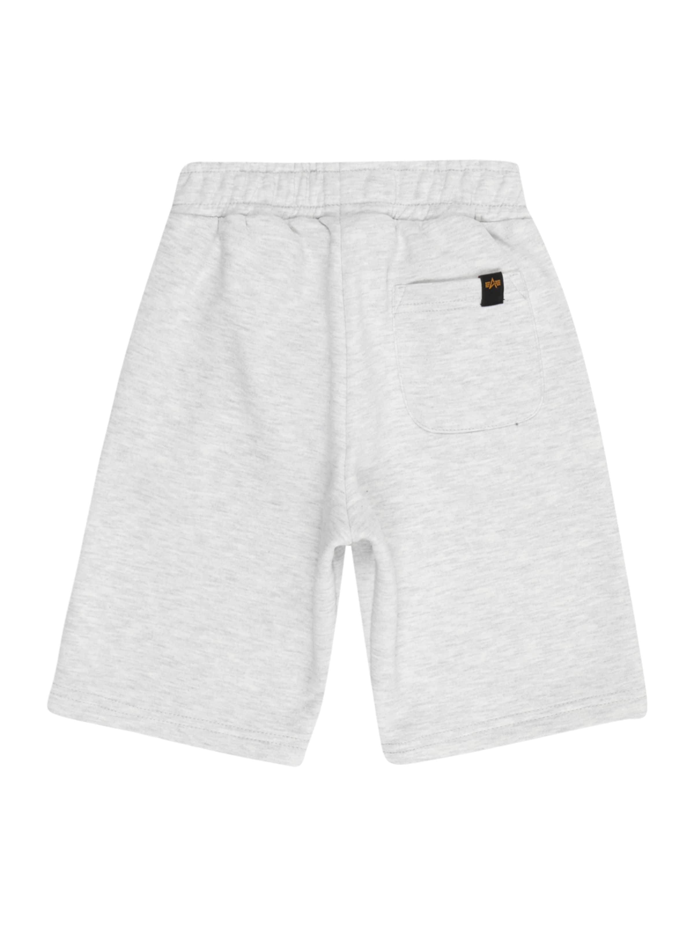 ALPHA INDUSTRIES Обычный Штаны в Серый