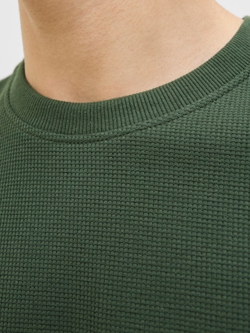 JACK & JONES Koszulka 'JJEAUSTIN' w kolorze zielony