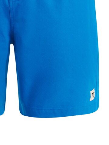 PROTEST Badeshorts 'PRTBAKY' in Blau: Vorderseite