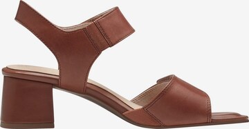 TAMARIS Sandals in Brown