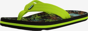 REEF Beach & Pool Shoes ' Kids Ahi ' in Green: front