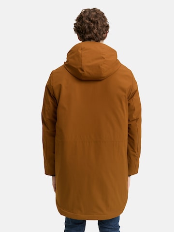 TOM TAILOR DENIM Winter coat in Brown