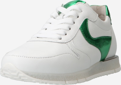 GABOR Baskets basses en vert gazon / blanc, Vue avec produit