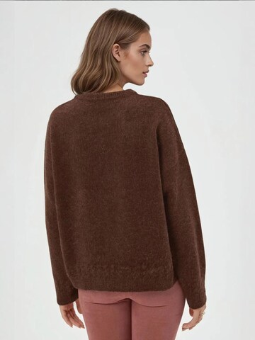 Hiccup - Pullover em castanho