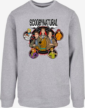 ABSOLUTE CULT Sweatshirt 'Scooby - Natural Characters' in Grey: front