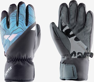 Zanier Full Finger Gloves in Grey: front