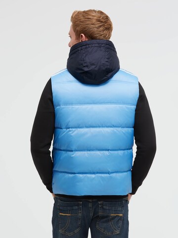 CAMP DAVID Vest in Blue