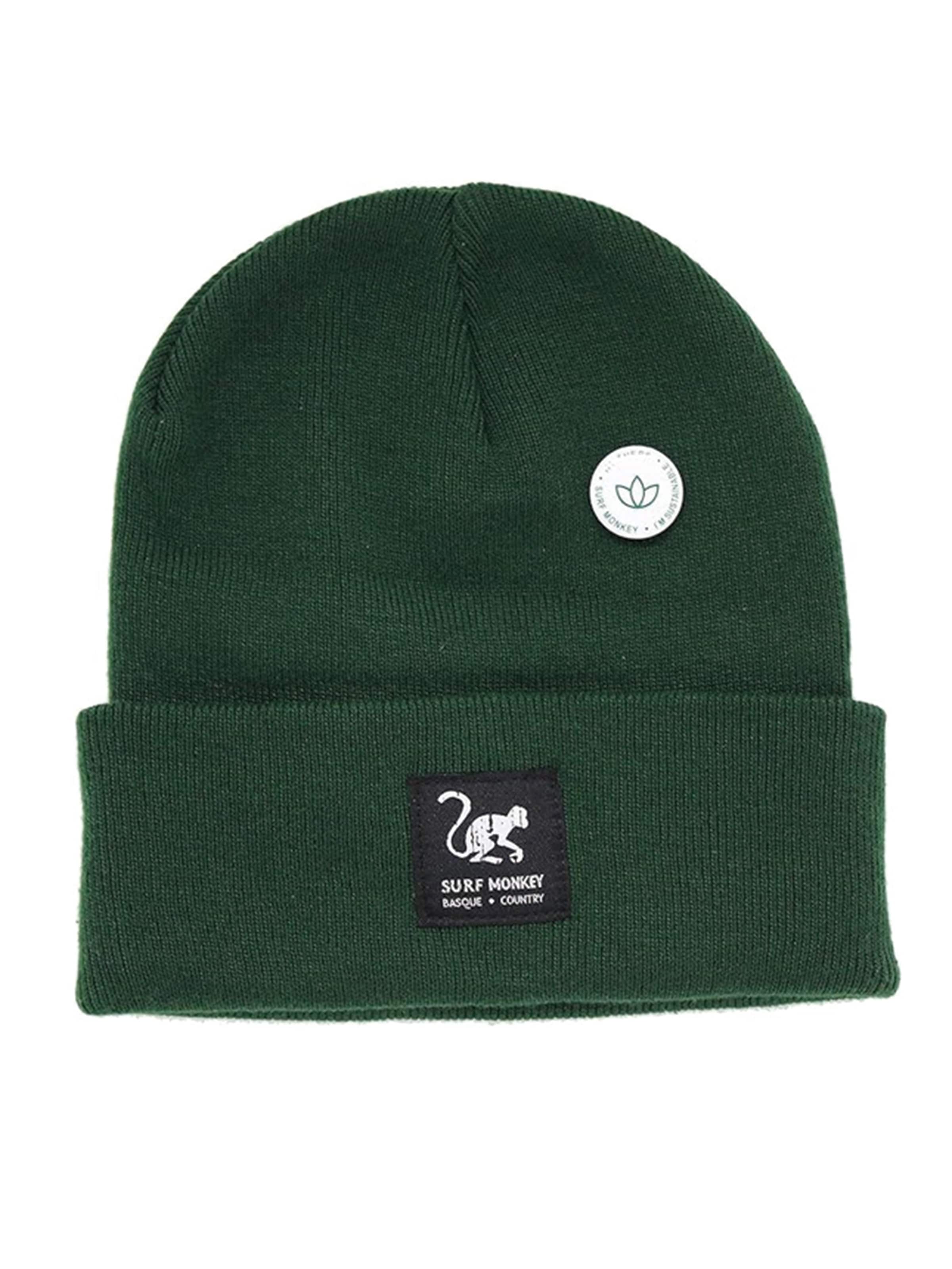 Surf Monkey Beanie in Green: front