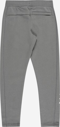 Nike Sportswear Regular Pants in Grey